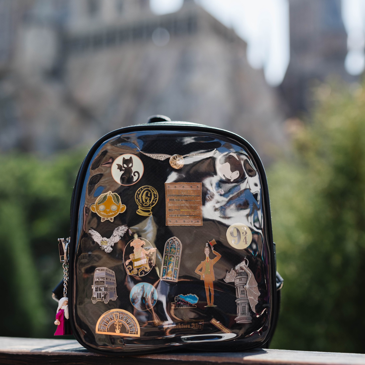 Black Pin Display Bag, outlet Clear Pocket Display Backpack, Pin Trading Bag, Window Ba